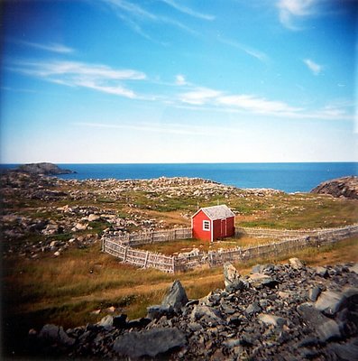 Bonavista