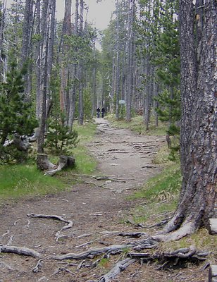 frightening path ???