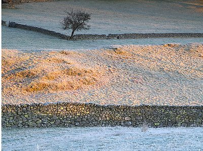 Frost, Sun and Walls