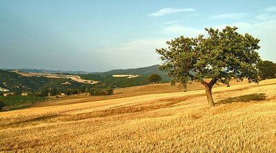 An hill ...somewhere... in Tuscany