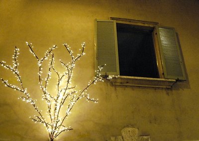 Light tree and window