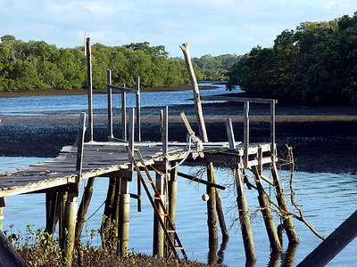 Old jetty on Mangrove Creek