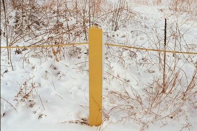 yellow pole