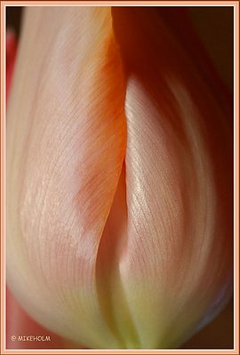 Tender Places