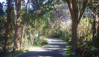 Path In Between