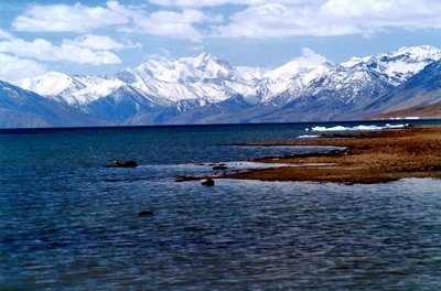 Tsomoriri - Ladakh