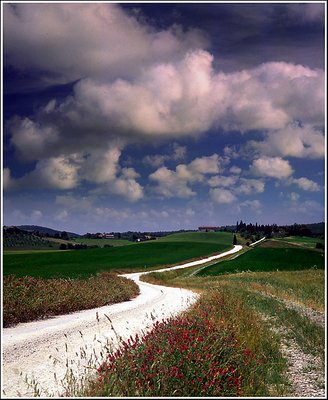 Tuscan Summer