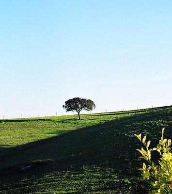 Alentejo