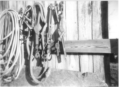 supplies - holga shot