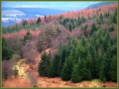 Road to Paradise land, Sallygap, Ireland
