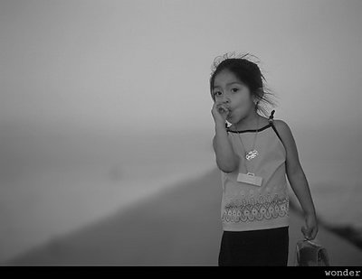 wonder