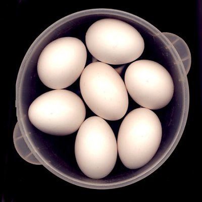 Eggs