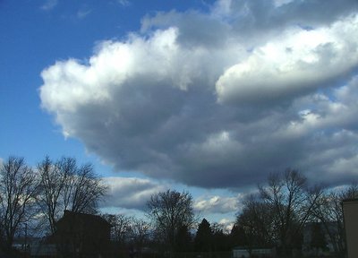 'Cumulus Nimbus'