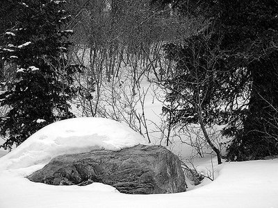 Snow Basin #3