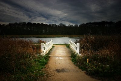 Little white bridge