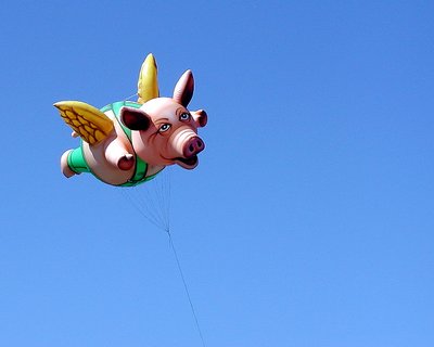 ~ When pigs fly ~