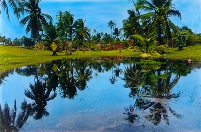 Espelho Azul-Blue Mirror