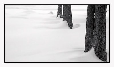Snow wind work