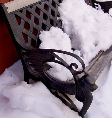Snow on Bench