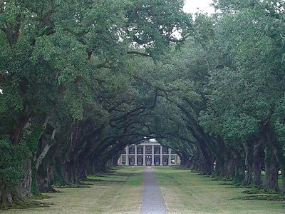 Oak Alley Plantation