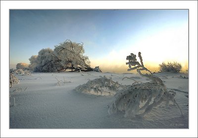 Fetters of winter