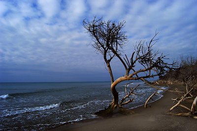 The Sea in Winter