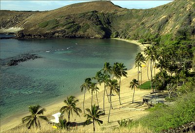 Paradise of Hawaii