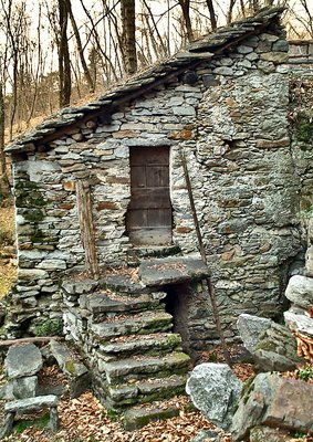 The little house in a wood