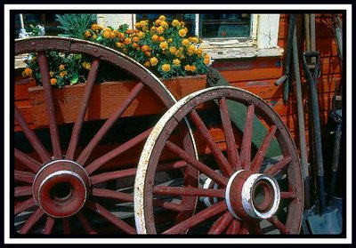 Old Wagon Wheels