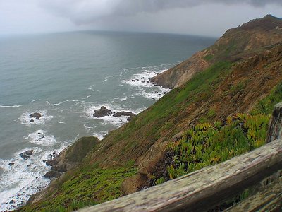 Shoreline @ Pt. Reyes