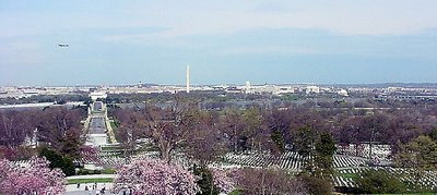 Washington DC in the spring