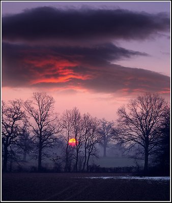 Winter Sunset