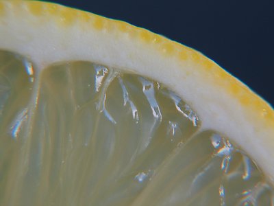 A slice of lemon