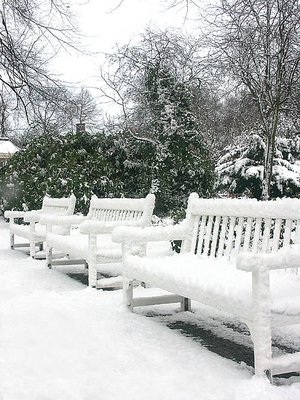 solitary benches