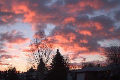 Cotton Candy In The Sky