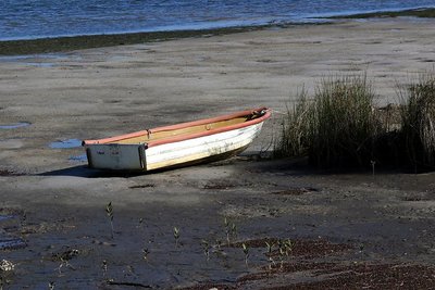 high and dry