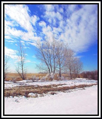 Frosty Morning, on the Alberta Prairie, Canada.