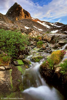 Alpine Stream, High Sierra