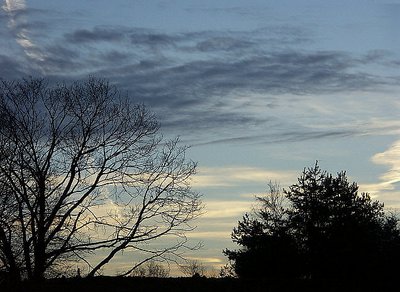 'early evening sky'