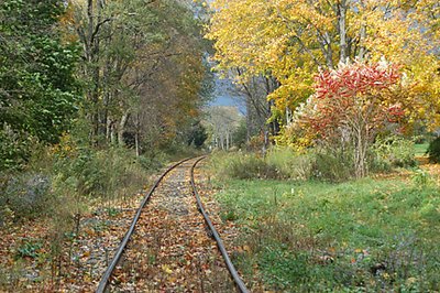 Fall RR Tracks