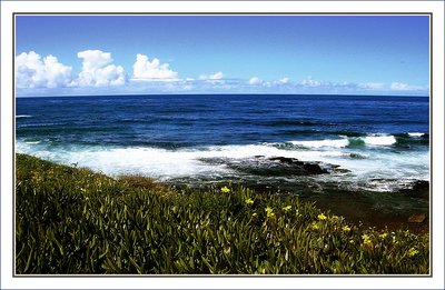 Greetings from La Jolla!