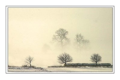 Morning mist at bolton