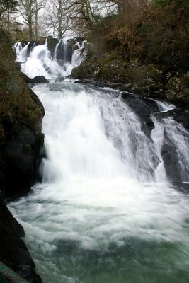 Swallow Falls