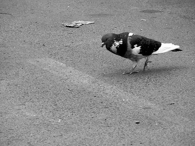 Crossing the street... (i better walk)