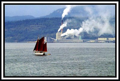 Sailing Ship off Northern Vancouver Island, British Columbia, Canada.