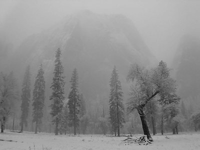 Yosemite