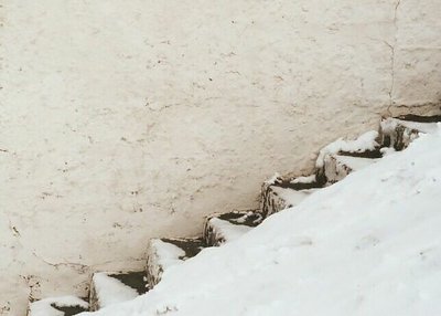 snow steps
