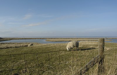 The Waddenzee