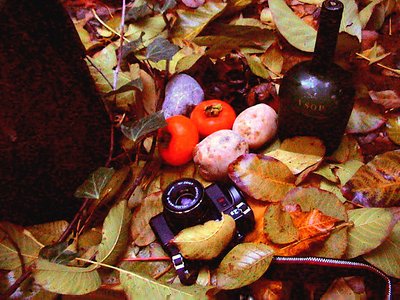 My Feel of Fall