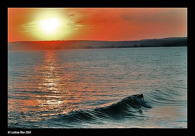 Sunset Surfer